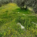 5ae84c3f-6d97-44d3-8925-7ee1ac5832f8