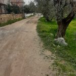 773925ca-90d2-4625-bc27-2863c12db36f