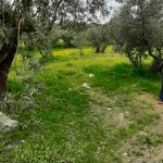 c2c3d240-0774-4378-9729-be15d14108e5